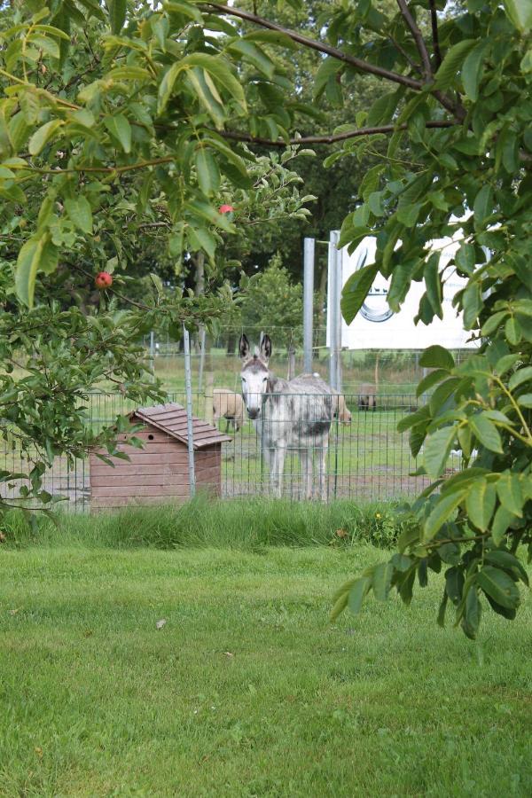 Balzwiekje Auszeit Auf Pferdehof In Ostfriesland Ihlow  Exterior foto